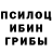 Галлюциногенные грибы GOLDEN TEACHER Raykan D