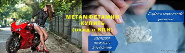 шишки Заволжск