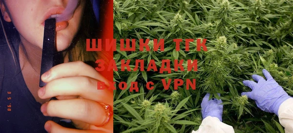 метамфетамин Ельня