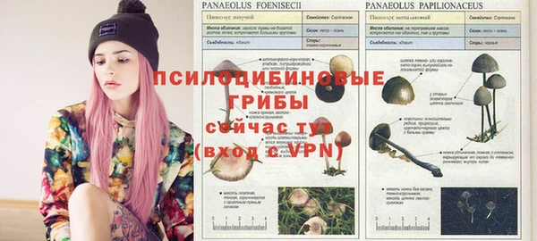 метамфетамин Ельня