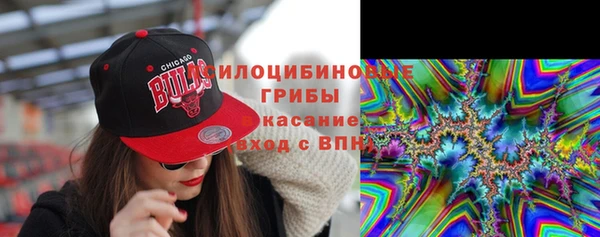 шишки Заволжск
