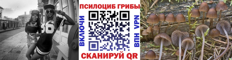 Купить  Кубинка  Псилоцибиновые грибы Magic Shrooms 