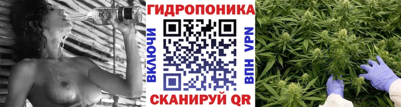 Бошки Шишки тримм  Купить закладки  Кубинка 